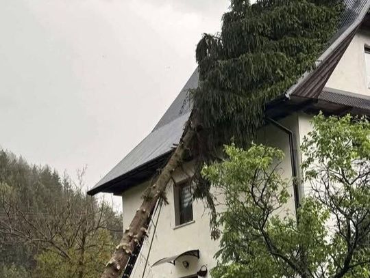 Nawałnice Małopolska, Burze Małopolska, Podtopienia Małopolska, Drzewo na dom Ochotnica Górna, Ochotnica Górna drzewo