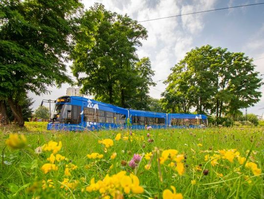Niebieska Krew Miasta: Fascynująca Historia Krakowskich Tramwajów
