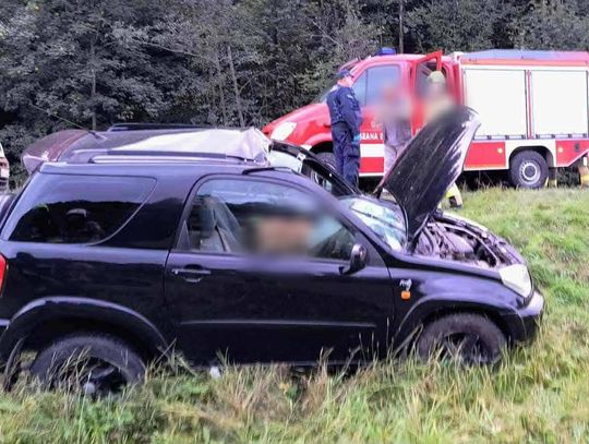 Jeleń wpadł do samochodu, nietypowy wypadek w Lubomierzu, zderzenie z jeleniem, powiat limanowski, akcja ratunkowa, poważny wypadek z udziałem dzikiej zwierzyny