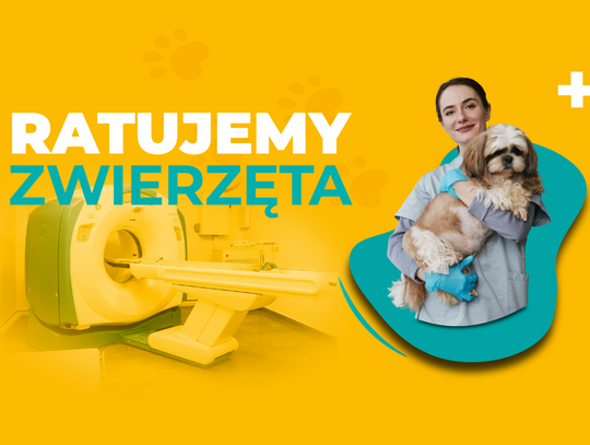 Nowy punkt na mapie Małopolski. Tomografia psów i kotów dostępna również w Nowym Sączu