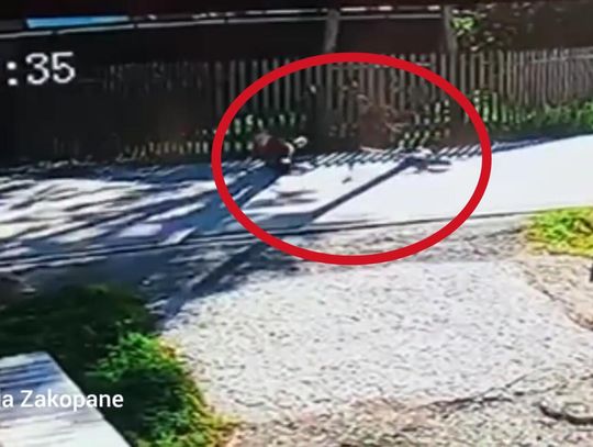 Biały Dunajec, wypadek na hulajnodze elektrycznej w Białym Dunajcu, wypadek na hulajnodze, hulajnoga elektryczna, Podhale, nagranie dramatycznego wypadku