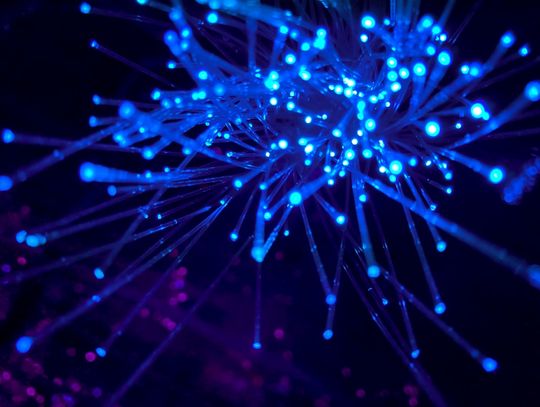 Od czego zależy prędkość Internetu? Jak ją sprawdzić?