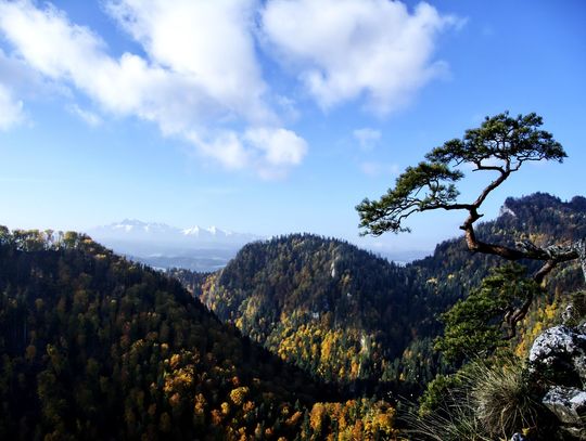 Pieniny, góry, Małopolska, województwo małopolskie, Kraków, Tarnów, szlak architektury drewnianej, wycieczki górskie, odpoczynek, jesień, jesienne atrakcje w Małopolsce