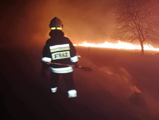 Na zdjęciu strażak walczący z pożarem traw między Rączną, a miejscowością Liszki