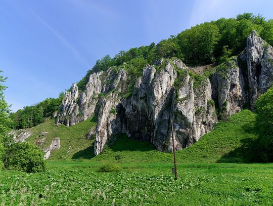 Ojcowski Park Narodowy