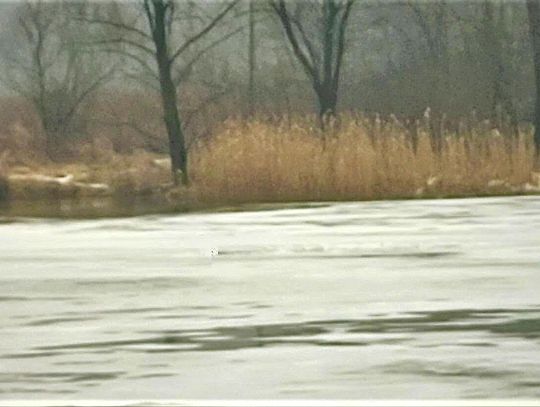 Oświęcim: O krok od tragedii na Sole. 15-latkowie igrali ze śmiercią na lodzie