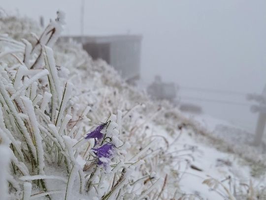 Tatry, opady śniegu, TOPR, Tatrzański Park Narodowy,TPN, pierwszy śnieg, uwaga, turystyka