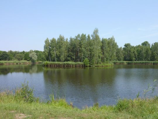 Na zdjęciu jeden ze stawów rybnych na terenie powiatu oświęcimskiego