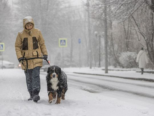 Pogoda. Wraca zima, ale nie w całej Polsce