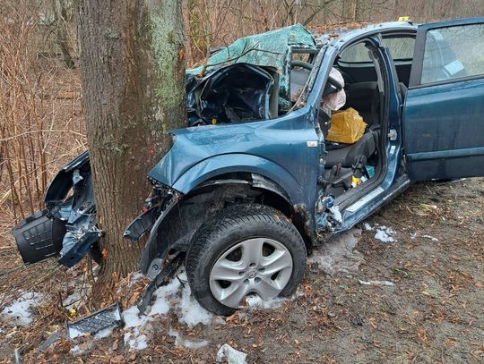 Policja podaje wstępne okoliczności tragedii na Sądecczyźnie (ZDJĘCIA)