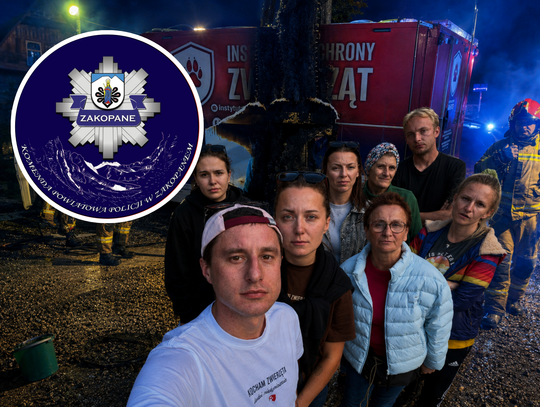 Policja szuka świadków pożaru auta DIOZ. Są nowe informacje w sprawie