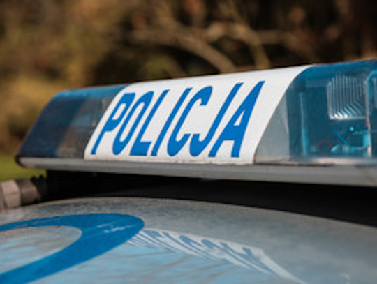 Policja szuka świadków. Spadające konary w Parku Miejskim w Rabce-Zdroju pod lupą śledczych