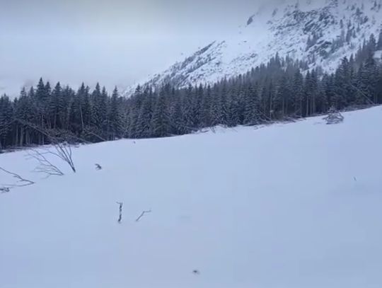 Potężna lawina zeszła w rejonie drogi nad Morskie Oko (FILM)