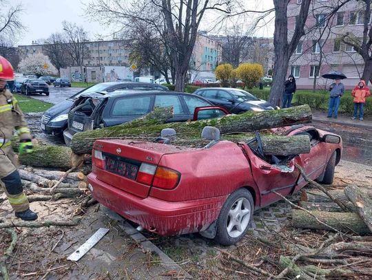Na zdjęciu samochód zniszczony przez konary drzew po sobotniej wichurze