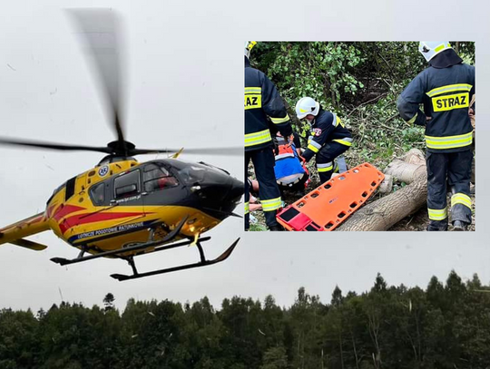 Poważny wypadek podczas prac leśnych w gminie Skała. LPR w akcji