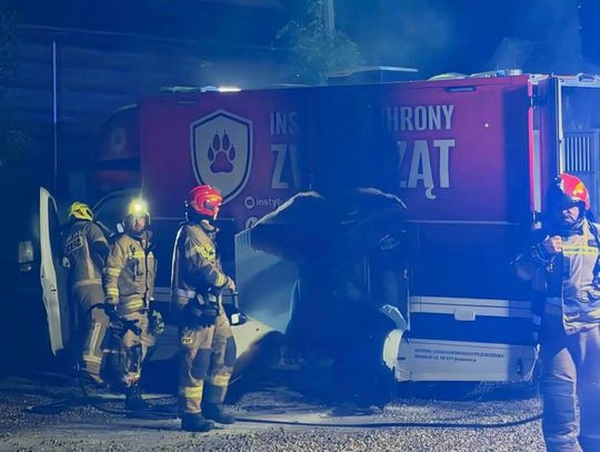 Pożar auta DIOZ na Podhalu. Milionowa zbiórka i oskarżenia Górali o podpalenie [FOTO, FILMY]