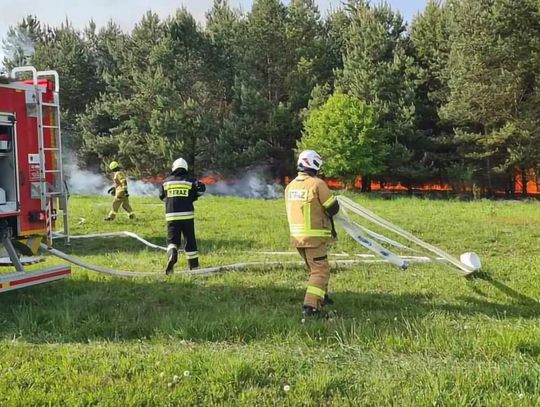 Na zdjęciu strażacy walczący z pożarem lasu na terenie powiatu olkuskiego