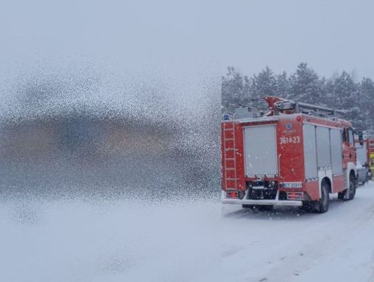 Na zdjęciu strażacy na miejscu wypadku w Radłowie