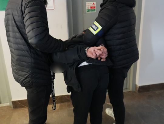 Przestępca w rękach policji