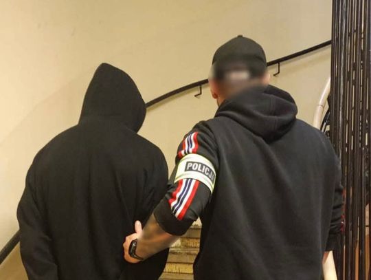 Kraków, sadysta, 21-letni sadysta z Krakowa, 21-latek znęcał się nad królikiem, znęcanie się nad królikiem