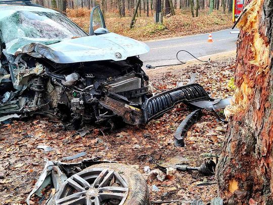 Tenczynek, powiat krakowski, wypadek w Tenczynku, samochód osobowy uderzył w drzewo, akcja ratunkowa w Tenczynku, na sygnale