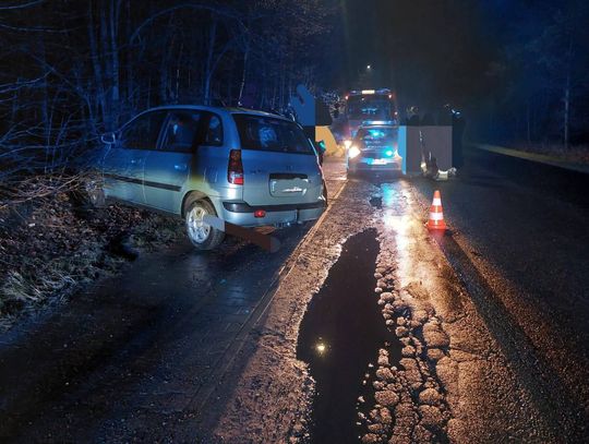 Samochód osobowy wypadł z drogi na terenie powiatu olkuskiego [ZDJĘCIA]