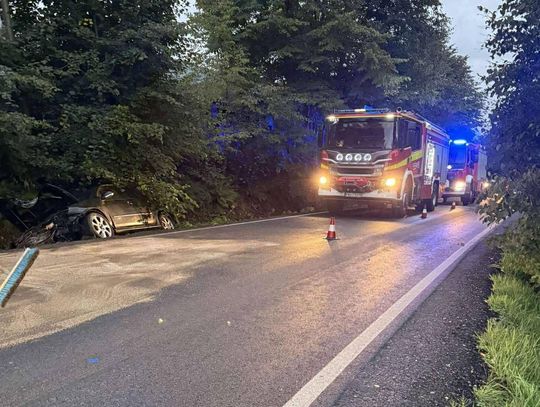 Klecza Dolna, wypadek w powiecie wadowickim, trudne warunki na drogach, samochód wypadł z drogi, akcja ratunkowa, straż pożarna, funkcjonariusze policji