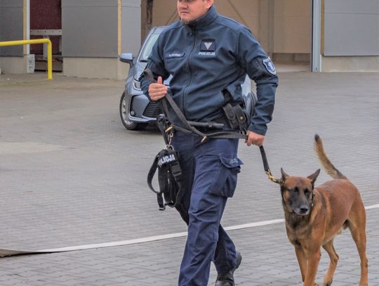 Senior zaginął w Lesie Bobrek. Uratował go pies