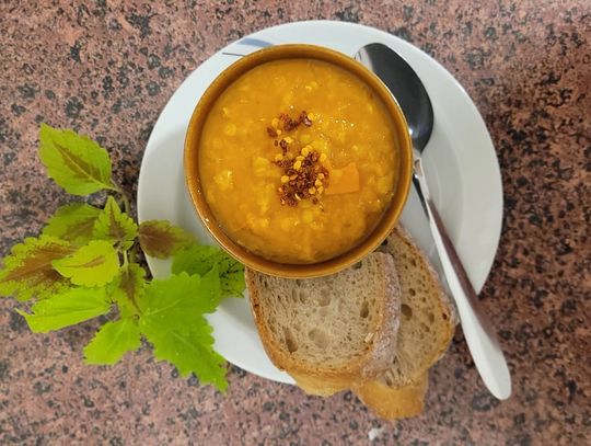Seniorzy odkrywają smaki: zupa dyniowo-soczewicowa