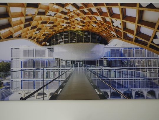 Shigeru Ban: Architektura i działania społeczne Shigeru Ban: Architektura i działania społeczne