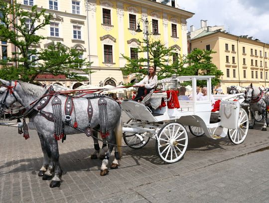 Siądą obok dorożek w końskich maskach. Nietypowy „strajk” w centrum Krakowa