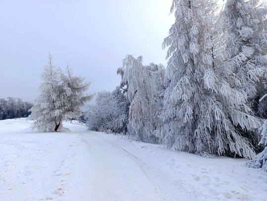 Siarczysty mróz uderza w Kraków i region. Temperatury spadną nawet do -19 stopni Celsjusza!