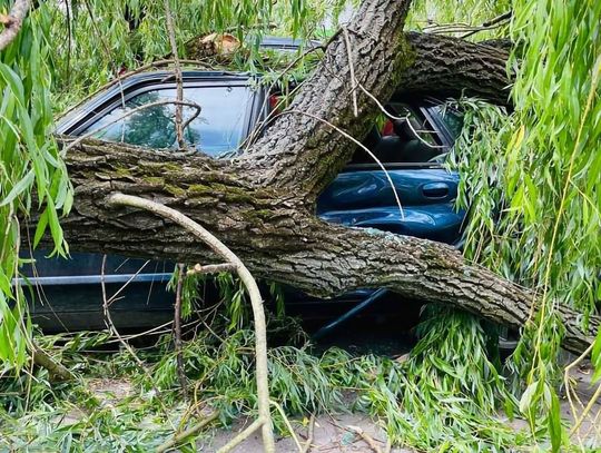 Na zdjęciu połamane drzewa i zniszczone samochody na Placu na Stawach w Krakowie