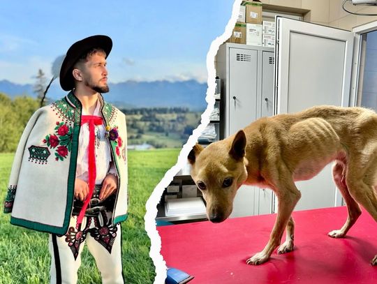 Skandal w Rabce-Zdroju. Bohaterstwo zwykłego człowieka wobec dramatu zagłodzonego psa Zagłodzony pies, Podhale, Rabka-Zdrój, na sygnale, policja, Artur, góral z Szaflar