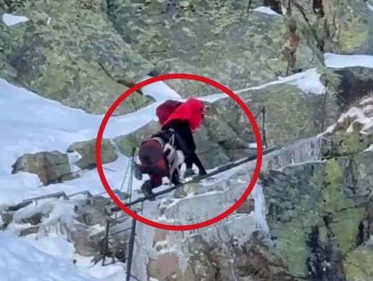 Tatry, Rysy, głupota turystów z Litwy, zabrali dziewięciomiesięczne dziecko na Rysy, Podhale, powiat tatrzański, tragedia, blisko tragedii w Tatrach