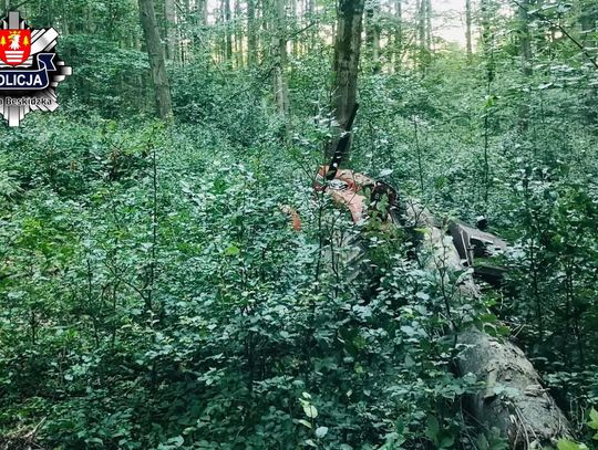 Wypadek w Lachowicach, Lachowice, śmiertelny wypadek podczas wycinki drzew, tragiczna śmierć 75-latka, śmiertelny wypadek