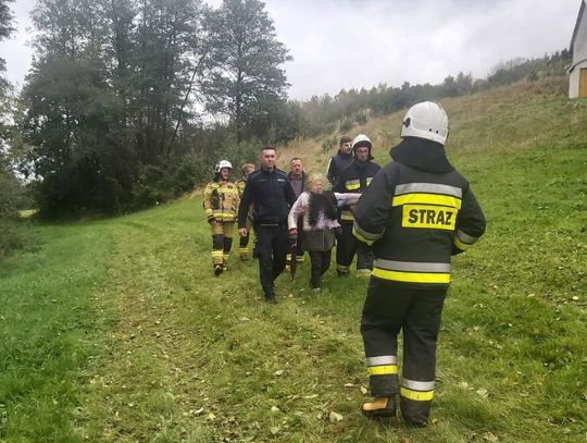 79-latkę odnaleziono w zaroślach przy strumyku