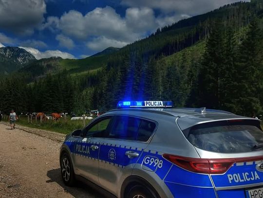 zagubione dziecko Morskie Oko, dziecko zgubiło się na szlaku, akcja policji Morskie Oko, policja Bukowina Tatrzańska, bezpieczeństwo dzieci w górach