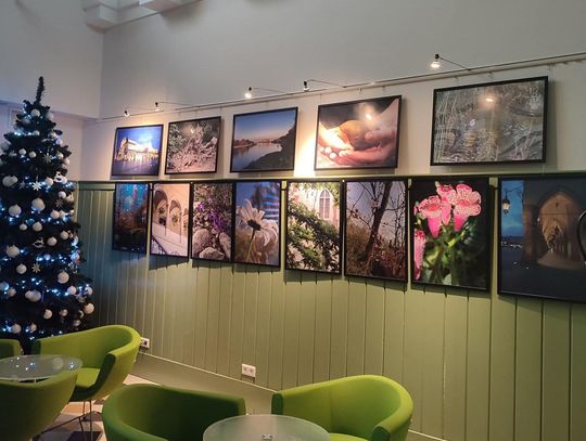 „Sztuka łączy małopolskich seniorów”. Wyjątkowa wystawa otwarta w rabczańskiej bibliotece [FOTO]