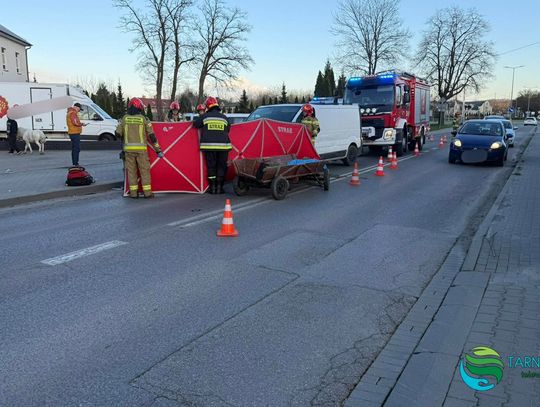 Tarnów, zaprzęg z kucykami, akcja służb, uśpienie kucyka, wypadek drogowy, zaprzęg konny