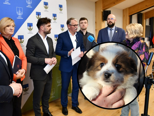 Nowy Targ, schronisko dla psów w Nowym Targu, Zakopane, konwent tatrzański, stanowisko samorządowców, samorządowcy murem za schroniskiem w nowym targu