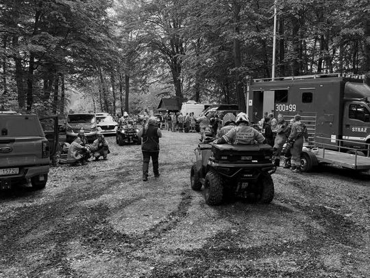 Tragiczny finał poszukiwań, las Wolski przecinek-las Wolski w Krakowie, odnaleziono ciało młodej kobiety, dramatyczne odkrycie, tragiczny finał