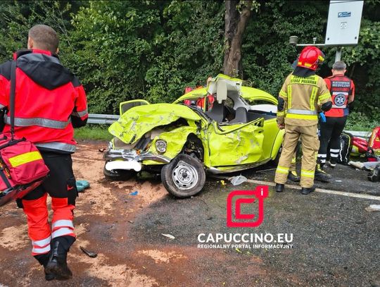 Witowice Dolne, powiat nowosądecki, sądecczyzna, tragiczny wypadek, śmiertelny wypadek, nie żyje 22-latka, 22-latka zginęła na miejscu