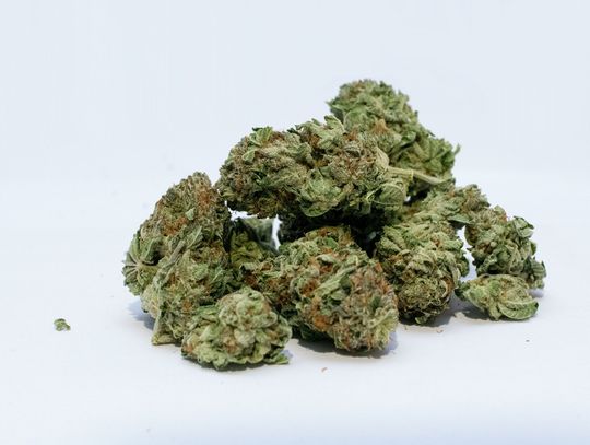 Trzy kilogramy marihuany u 40-letniego Tarnowianina