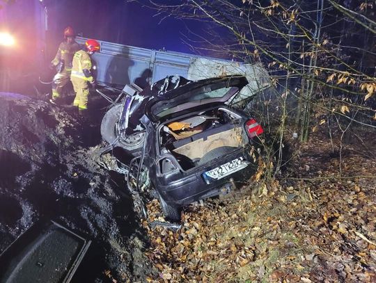 Trzy ofiary tragicznego wypadku na Śląsku (GALERIA)