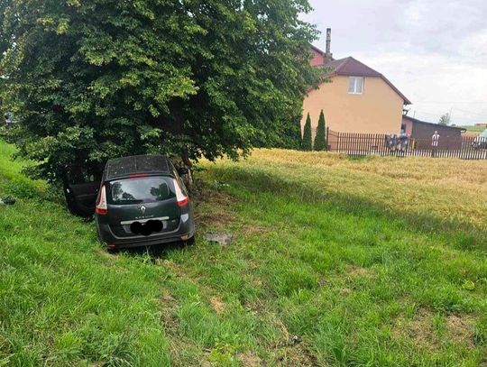 Na zdjęciu samochód osobowy, który uderzył w drzewo na terenie gminy Iwanowice