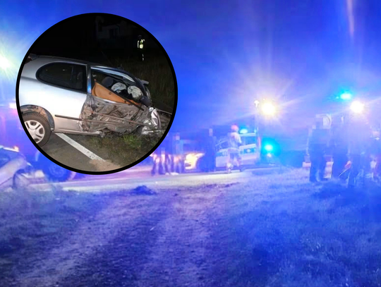 Ukradł auto w Sułkowicach, spowodował wypadek w Jasienicy i uciekł do lasu [FOTO]