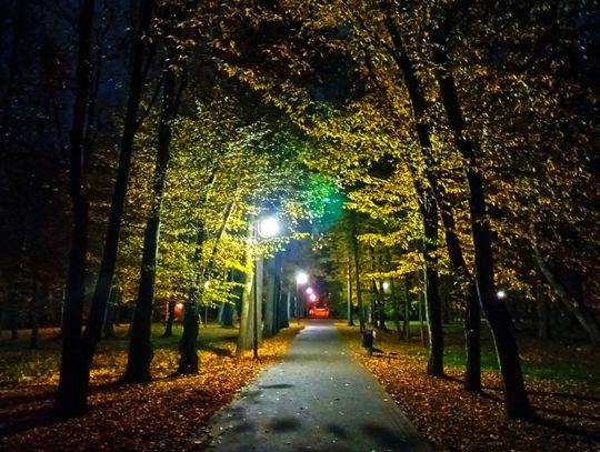 Na zdjęciu jedna z alejek rabczańskiego Parku Zdrojowego nocą
