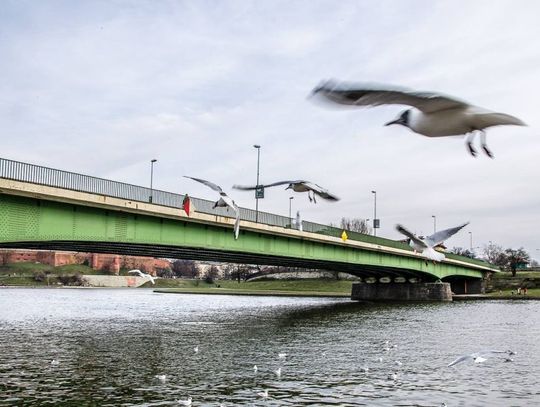 W lipcu rusza remont mostu Dębnickiego w Krakowie. Ogromne utrudnienia