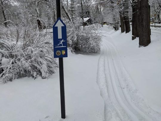 W rabczańskim Parku Zdrojowym możemy już pobiegać na nartach (ZDJĘCIA)